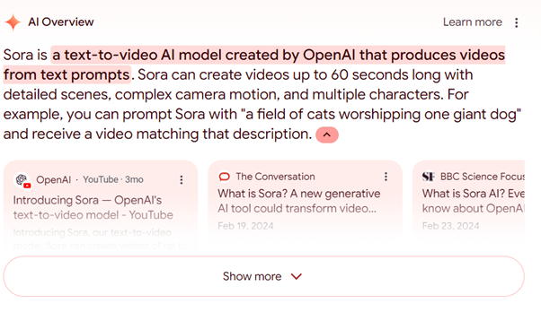 AI Overview 6